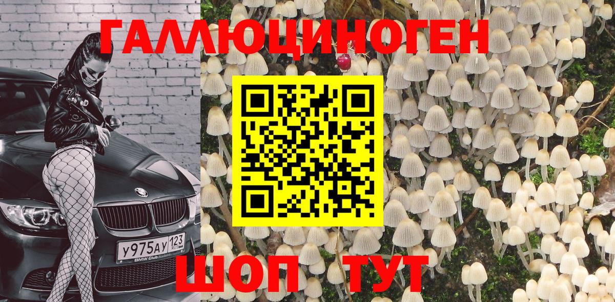 Галлюциногенные грибы мицелий Полысаево